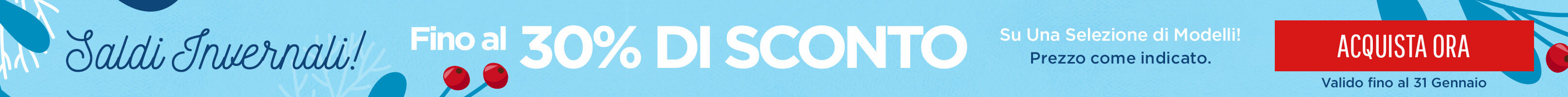 Winter Sale Skinny Banner North/UK